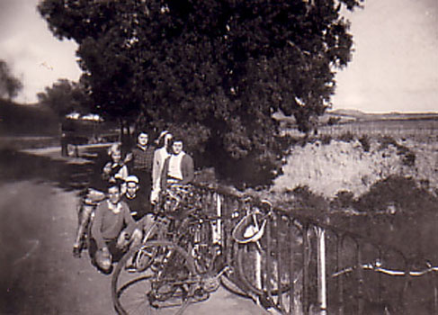1951