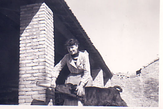 1951