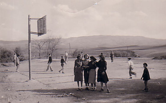 1951