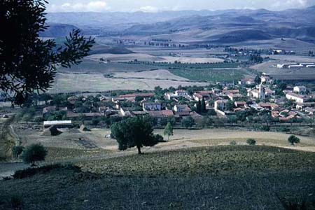 Bou-Medfa
