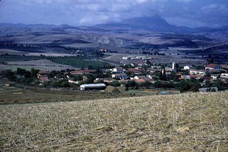 Bou-Medfa