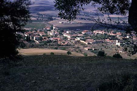 Bou-Medfa