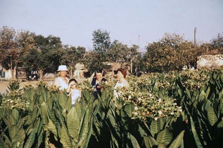 Fernand, Dominique, Cécile et Arlette