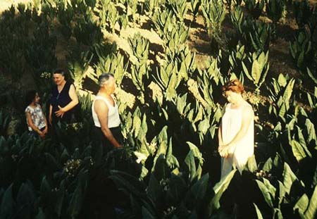 Fernand, Dominique, Cécile et Arlette