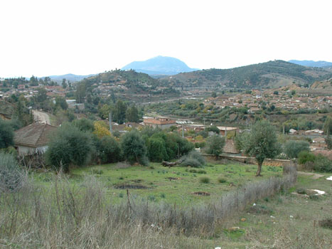 Vue du cimetière vers l'oued-Djer, au fond le mont Zaccar