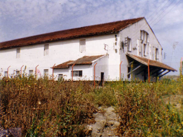 1979 : Bou-Medfa cave coopérative