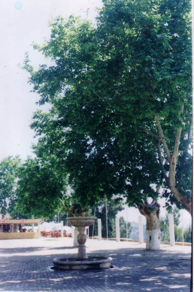 La pointe des blagueurs